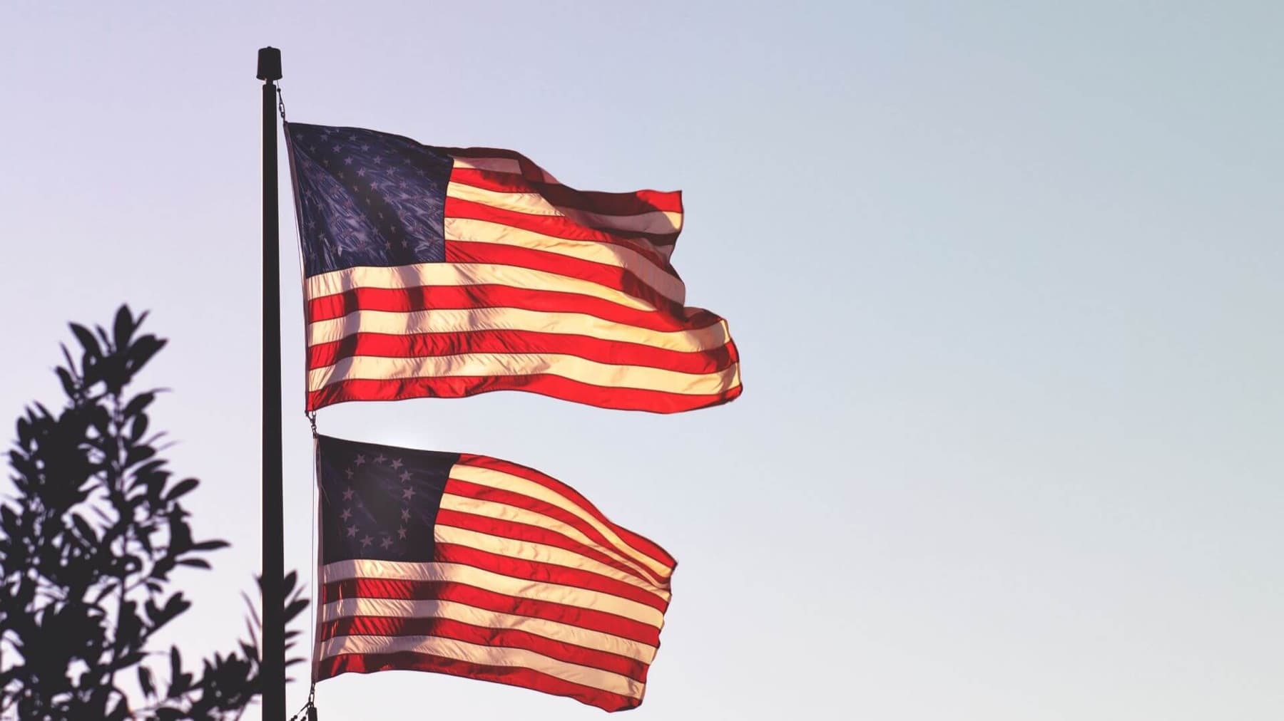 Two American flags flying from a flagpole beside a tree.